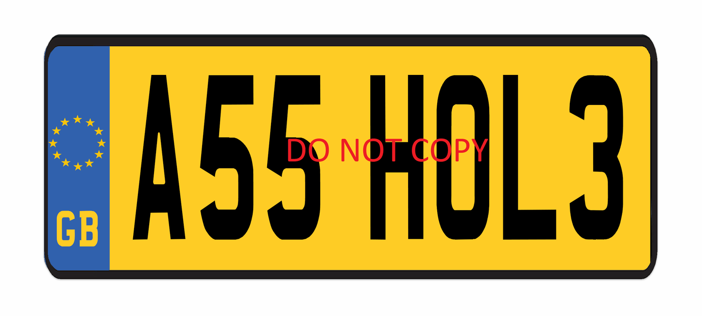 Insult Number Plate Coffee Mug in Various Designs by Free Spirit Accessories sold by Free Spirit Accessories