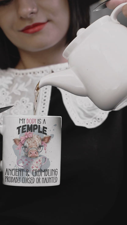 My Body is A Temple Funny Mug